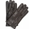 New Moreschi Vail Genuine Peccary / Cashmere Gloves Brown