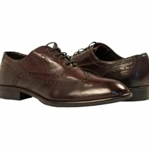 Store Paolo Shoes Alfredo Wingtip Oxfords Burgundy