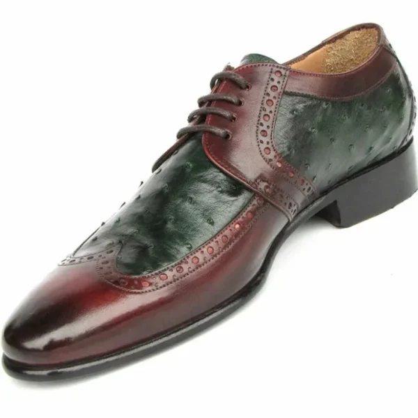 Sale Paul Parkman Ostrich / Leather Derby Shoes Green / Brown