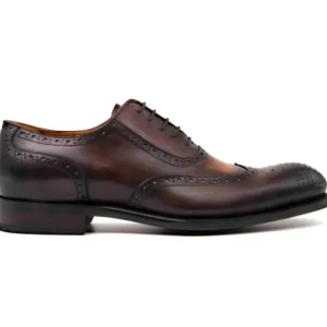 Flash Sale Ugo Vasare H & H Oxfords Brown