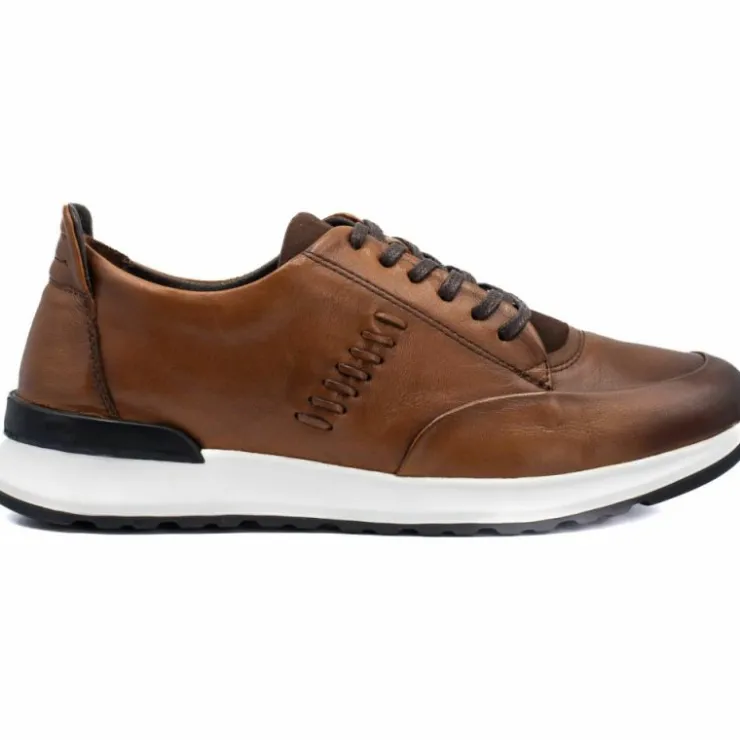 Cheap Vinci Leather Shoes Vinci Leather San Salvador Leather Sneaker (11177) Brown