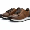 Cheap Vinci Leather Shoes Vinci Leather San Salvador Leather Sneaker (11177) Brown