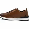 Cheap Vinci Leather Shoes Vinci Leather San Salvador Leather Sneaker (11177) Brown