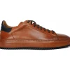 Clearance Vinci Leather Shoes Vinci Leather The Noble Leather Sneaker (D-2189) Brown