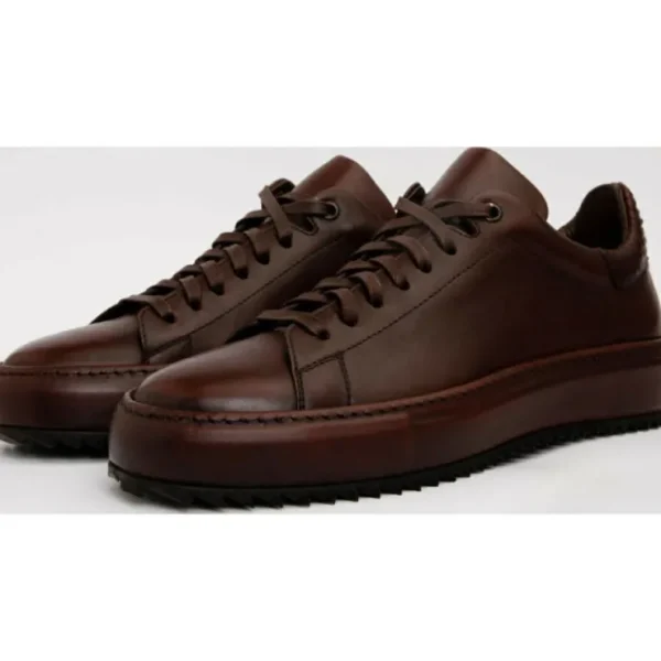 Sale Vinci Leather Shoes Vinci Leather The Noble Leather Sneaker (D-2189) Burgundy