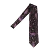 Fashion Volare Collection Silk Paisley Tie Multi