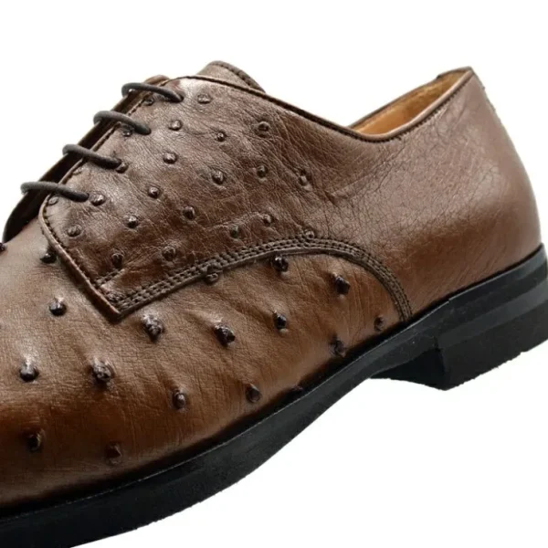zelli_andrea_ostrich_cap__4.webp New Zelli Andrea Ostrich Cap Toe Shoes (23-538-BDY) Brandy