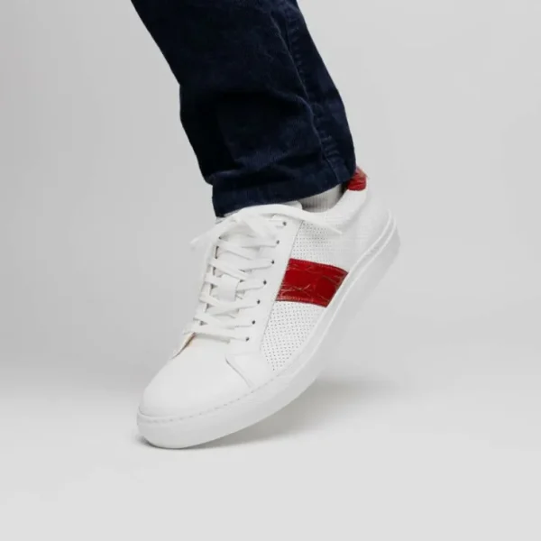 Fashion Zelli Olympias Calf & Crocodile Sneakers White / Red (61-101-RED) White/Red