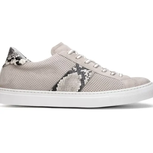 zelli_olympias_python_amp_0.webp Outlet Zelli Olympias Python & Sueded Goatskin Sneakers (66-100-GRY) Grey