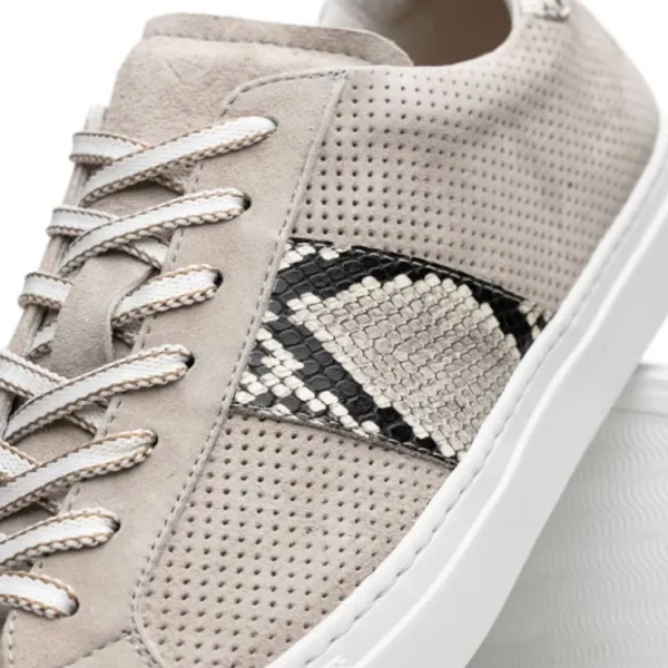 zelli_olympias_python_amp_2.webp Outlet Zelli Olympias Python & Sueded Goatskin Sneakers (66-100-GRY) Grey