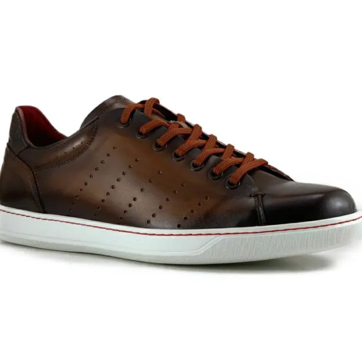 Cheap Zelli Russo Calfskin & Crocodile Sneakers (65-201-BRN) Brown